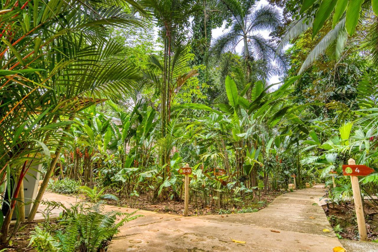 Shawandha Lodge Puerto Viejo de Talamanca Exterior photo